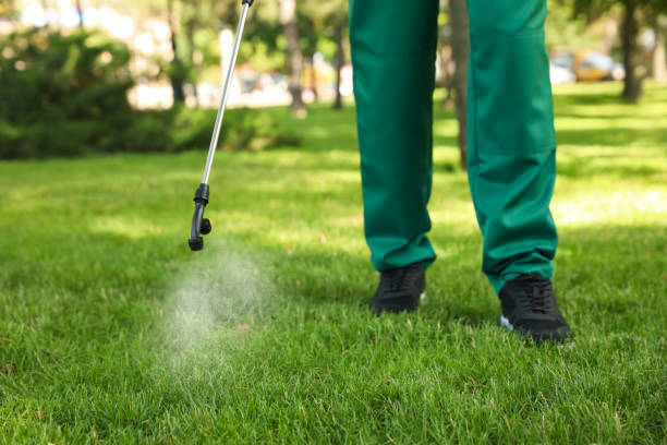 Best Pest Control Treatment  in Middlebranch, OH