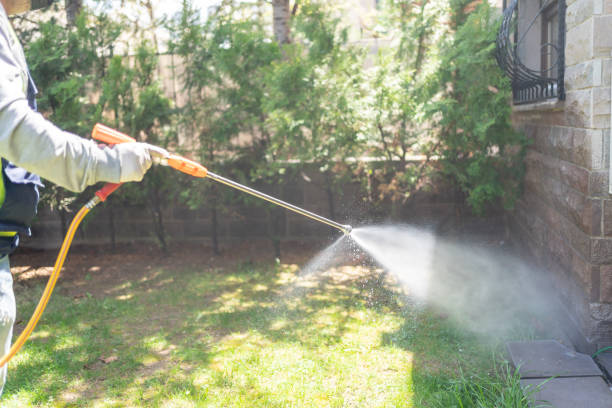 Best Pest Prevention Services  in Middlebranch, OH
