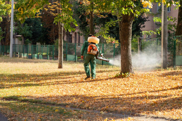 Best Cockroach Control Services  in Middlebranch, OH