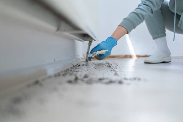 Best Emergency Pest Control  in Middlebranch, OH